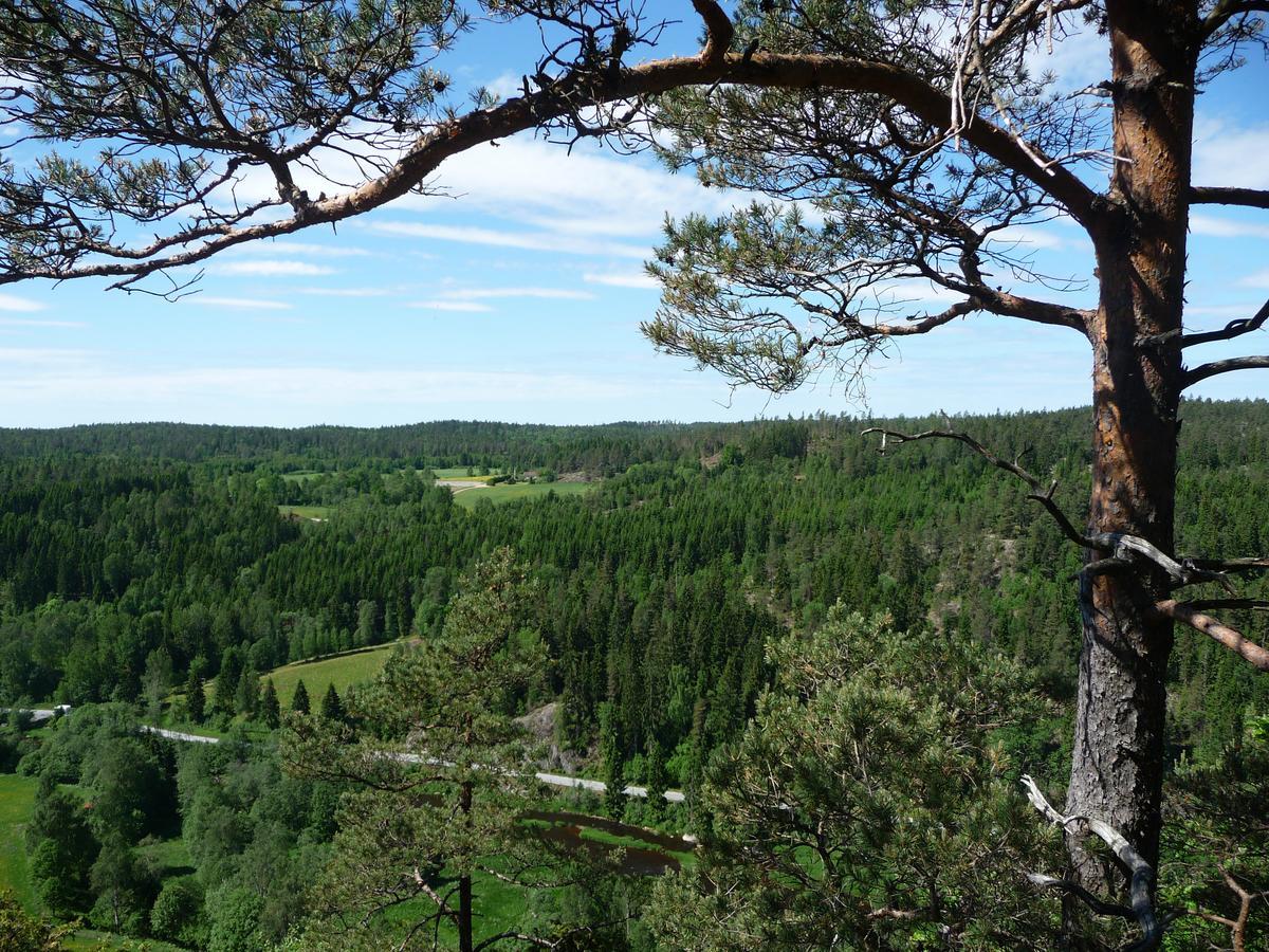 Kynnefjaellsnatur Hedekas Экстерьер фото